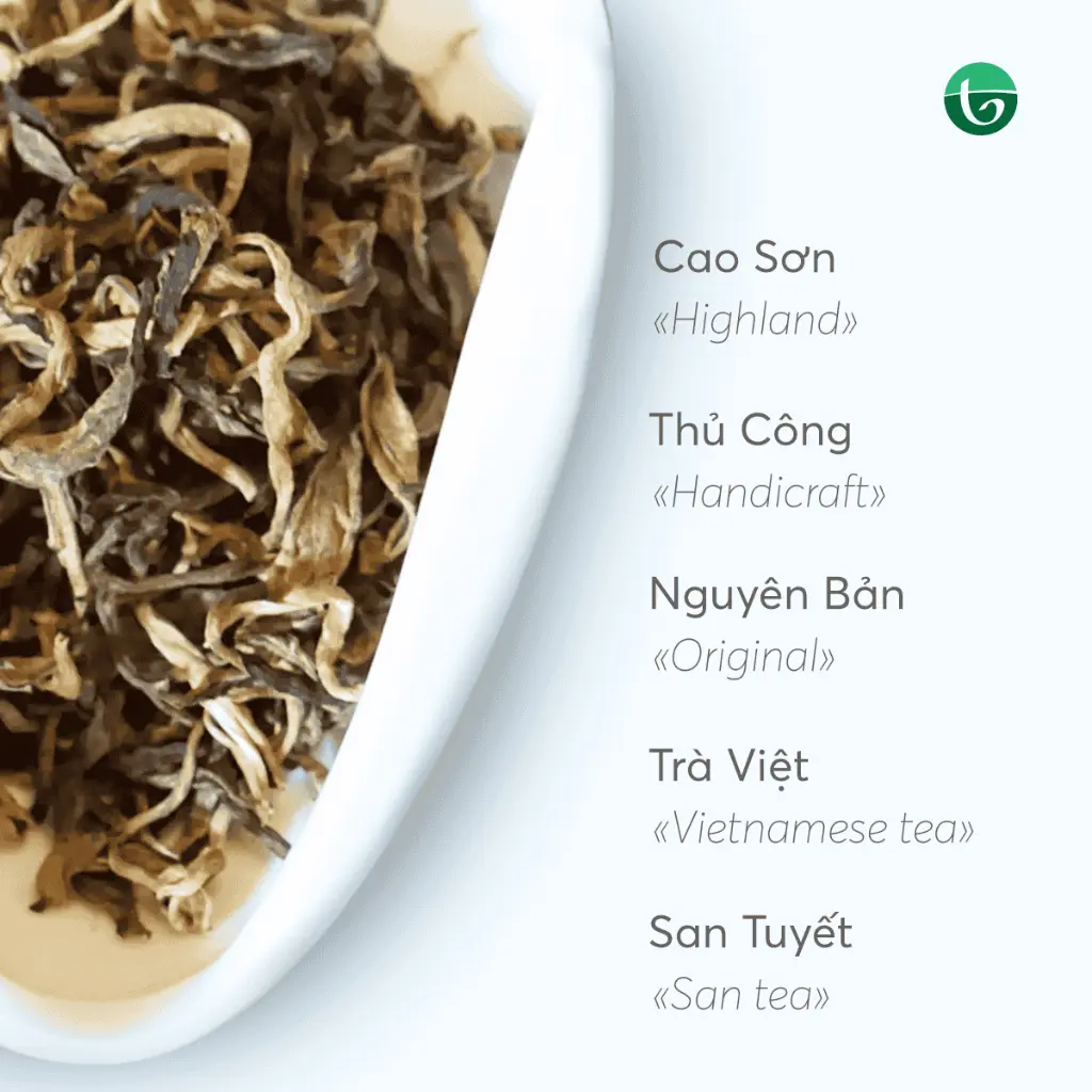 Hong Tra 2.webp