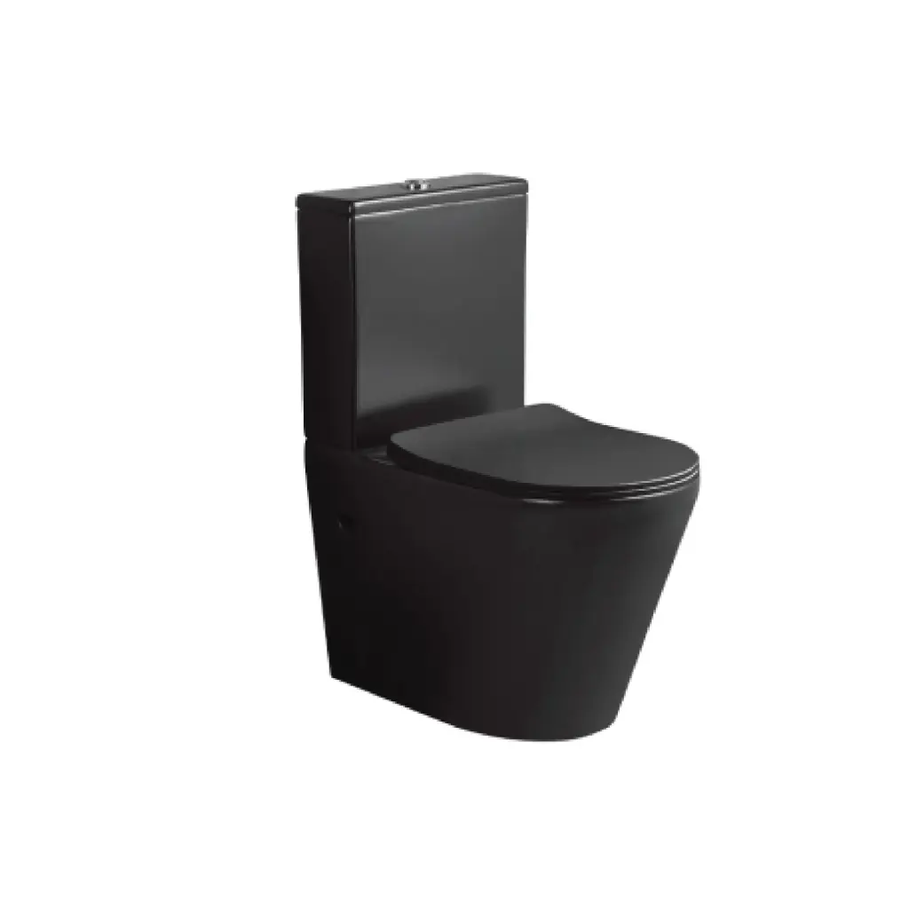 Bồn cầu 2 khối TPH-08