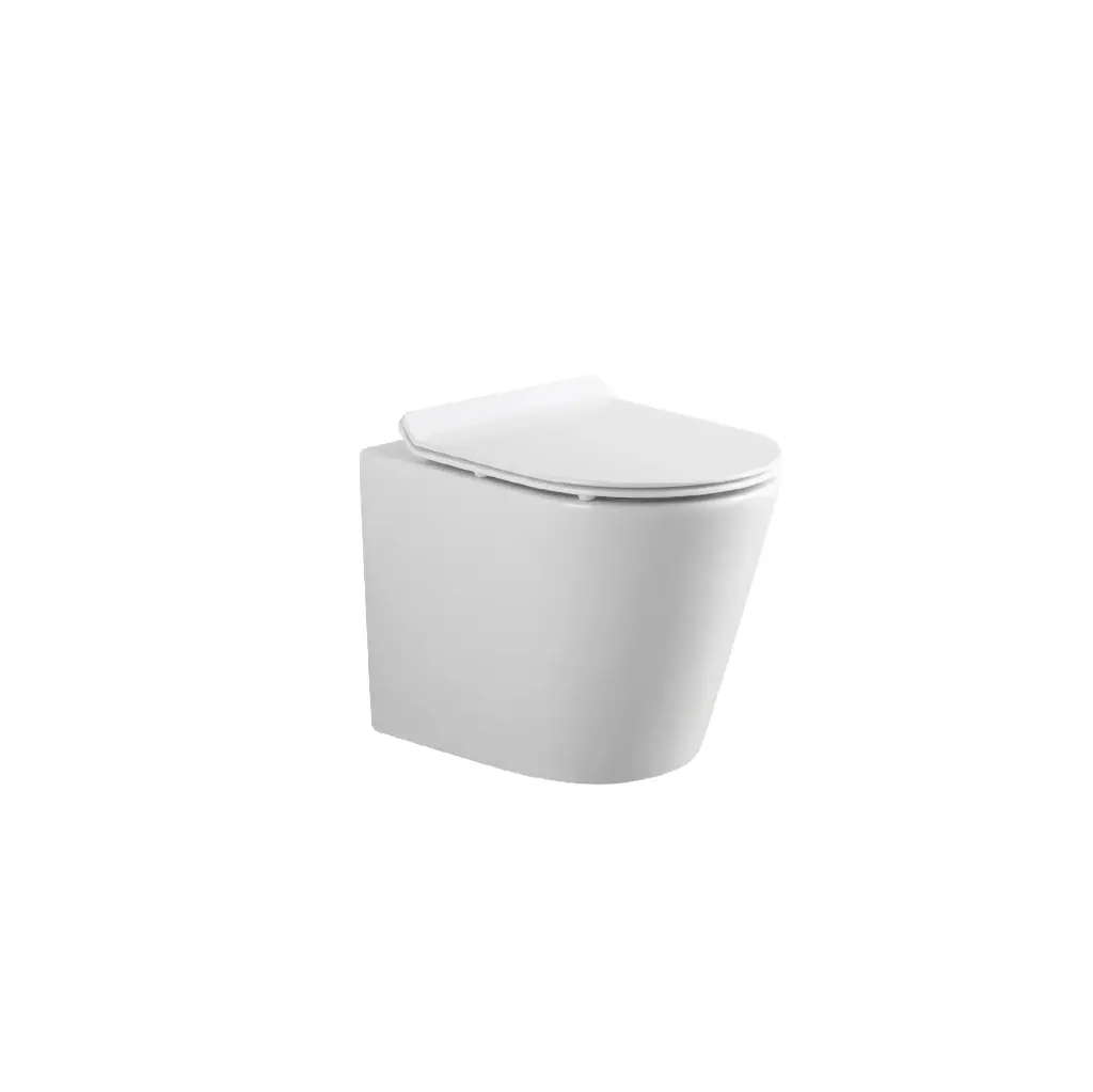Bồn cầu 1 khối cao cấp TP-11